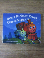 Anticariat: Brianna Caplan - Where do steam trains sleep at night?