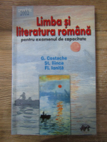 C. Costache, St. Ilinca, Fl. Ionita - Limba si literatura romana pentru examenul de capacitate