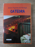 Javier Piqueras de Noriega - Catedra