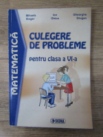 Mihaela Singer, Ion Ghica, Gheorghe Drugan - Matematica. Culegere de probleme pentru clasa a VI-a