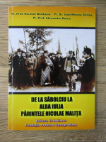 Anticariat: Nicolae Bordasiu, Ioan Mircea Ghitea - De la sabolciu la Alba Iulia parintele Nicolae Malita