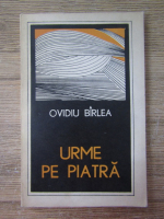 Ovidiu Birlea - Urme pe piatra