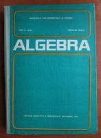 Ion D. Ion - Algebra