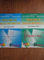 Ion Petrica - Probleme de analiza matematica (2 volume)