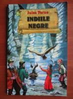 Anticariat: Jules Verne - Indiile negre
