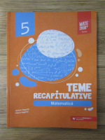 Anton Negrila - Matematica. Teme recapitulative, clasa a V-a