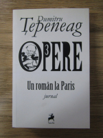 Anticariat: Dumitru Tepeneag - Opere. Un roman la Paris. Jurnal