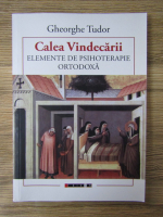 Anticariat: Gheorghe Tudor - Calea vindecarii. Elemente de psihoterapie ortodoxa