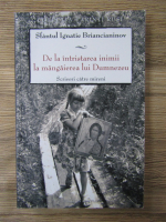 Ignatie Briancianinov - De la intristarea inimii la mangaierea lui Dumnezeu