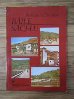 Ilie Huica - Baile Sacelu