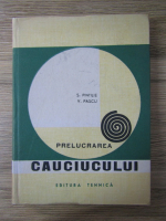 Stefan Pintilie - Prelucrarea cauciucului