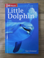 Sue Unstead - Little dolphin