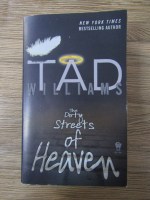 Anticariat: Tad Williams - The dirty street of heaven