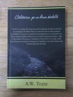 A. W. Tozer - Calatorim pe un drum stabilit