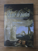 Alister McGrath - Un nor de martori