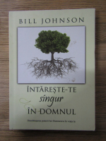 Anticariat: Bill Johnson - Intareste-te singur in Domnul