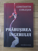 Anticariat: Constantin Cublesan - Prabusirea ingerului