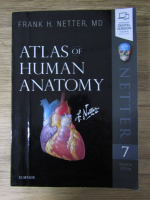 Anticariat: Frank H. Netter - Atlas of human anatomy