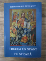 Ieromonahul Teognost - Trecea un sfant pe strada