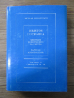 Nicolae Moldoveanu - Hristos Lucrarea. Meditatii duhovnicesti la cartea Faptele Apostolilor (volumul 2, capitolele 10-16)