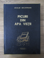 Nicolae Moldoveanu - Picuri din apa vietii