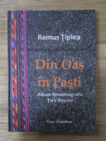 Anticariat: Remus Tiplea - Din Oas in Pasti