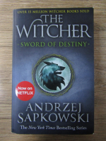 Andrzej Sapkowski - The witcher. Sword of destiny