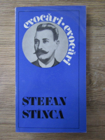 Anticariat: Ion Felea - Stefan Stinca