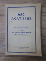 Anticariat: Mic acatistier