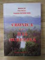 Miron Tic, Petru Balaj - Cronica de la Ilia Muresana