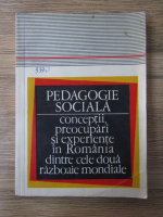 Pedagocie sociala. Conceptii, preocupari si experiente in Romania dintre cele doua razboaie mondiale