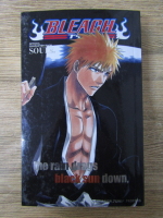 Tite Kubo - Bleach Souls. Official character book