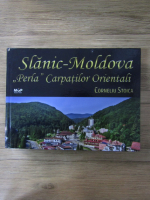 Corneliu Stoica - Slanic-Moldova. Perla Carpatilor Orientali