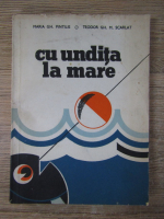 Maria Gh. Pintilie - Cu undita la mare