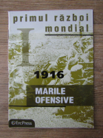 Anticariat: Primul razboi mondial. 1916. Marile ofensive