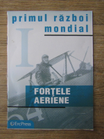 Primul razboi mondial. Fortele aeriene