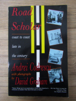 Anticariat: Andrei Codrescu - Road scholar