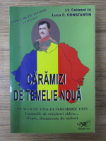 Constantin Luca - Caramizi de temelie noua