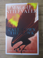 Anticariat: Maggie Stiefvater - Call down the Hawk