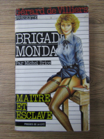 Michel Brice - Brigade Mondaine. Maitre et esclave