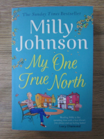 Anticariat: Milly Johnson - My one true north