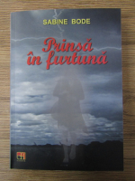 Sabine Bode - Prinsa in furtuna