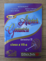 Anticariat: Artur Balauca - Algebra. Geometrie. Clasa a VII-A, semenstrul II