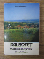 Anticariat: Icoana Budescu - Dalboset, studiu monografic