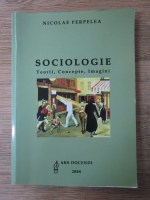 Anticariat: Nicolae Pepelea - Sociologie. Teorii, concepte, imagini