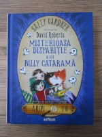 Anticariat: Sally Gardner - Misterioasa disparitie a lui Billy Catarama