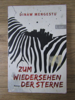 Anticariat: Dinaw Mengestu - Zum wiedersehen der sterne