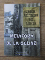 Anticariat: Ion Machidon - Metafora de la oglinzi