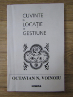 Anticariat: Octavian N. Voinoiu - Cuvinte in locatie de gestiune