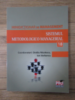 Anticariat: Ovidiu Nicolescu, Ion Verboncu - Minidictionar de management. Sistemul metodologico-managerial (volumul 18)